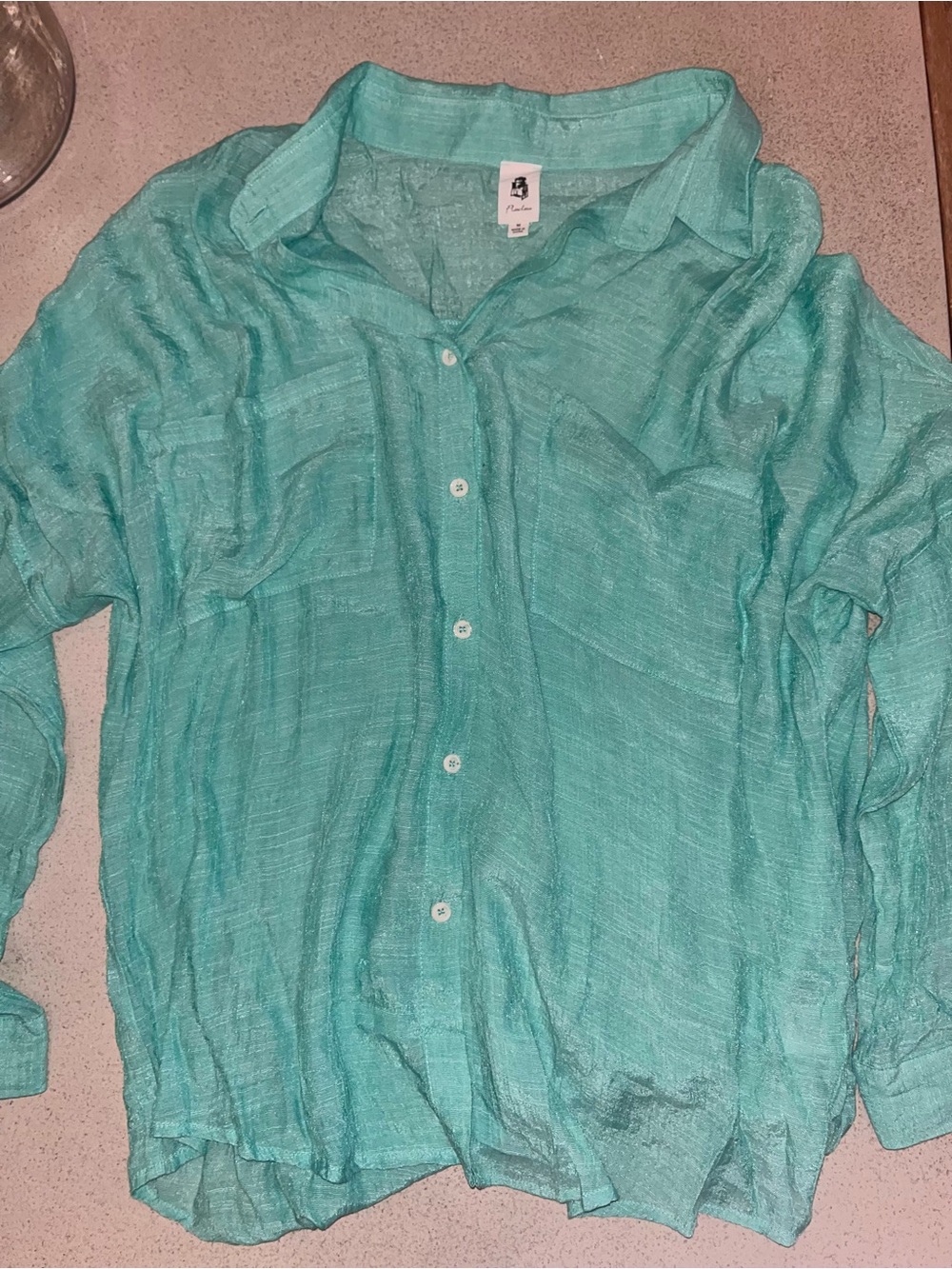 FLAWLESS Sheer Button-Up Shirt in Aqua
